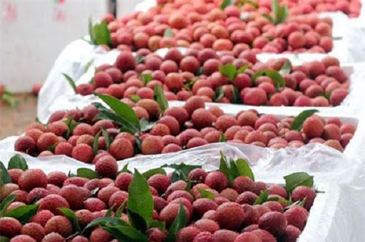 Thúc đẩy tiêu thụ nông sản và bảo đảm an toàn phòng chống dịch


