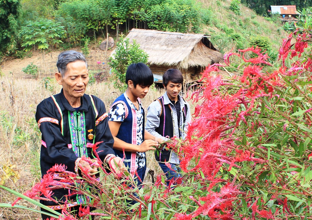 “Đánh thức” vùng đồng bào dân tộc Cống ở Điện Biên