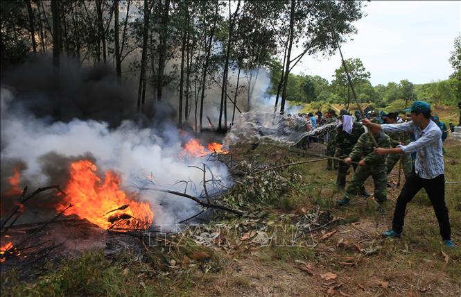 Tổ chức, cá nhân tình nguyện tham gia phòng cháy, chữa cháy thì phải đăng ký với cơ quan nào và có được hưởng chế độ, chính sách gì không?