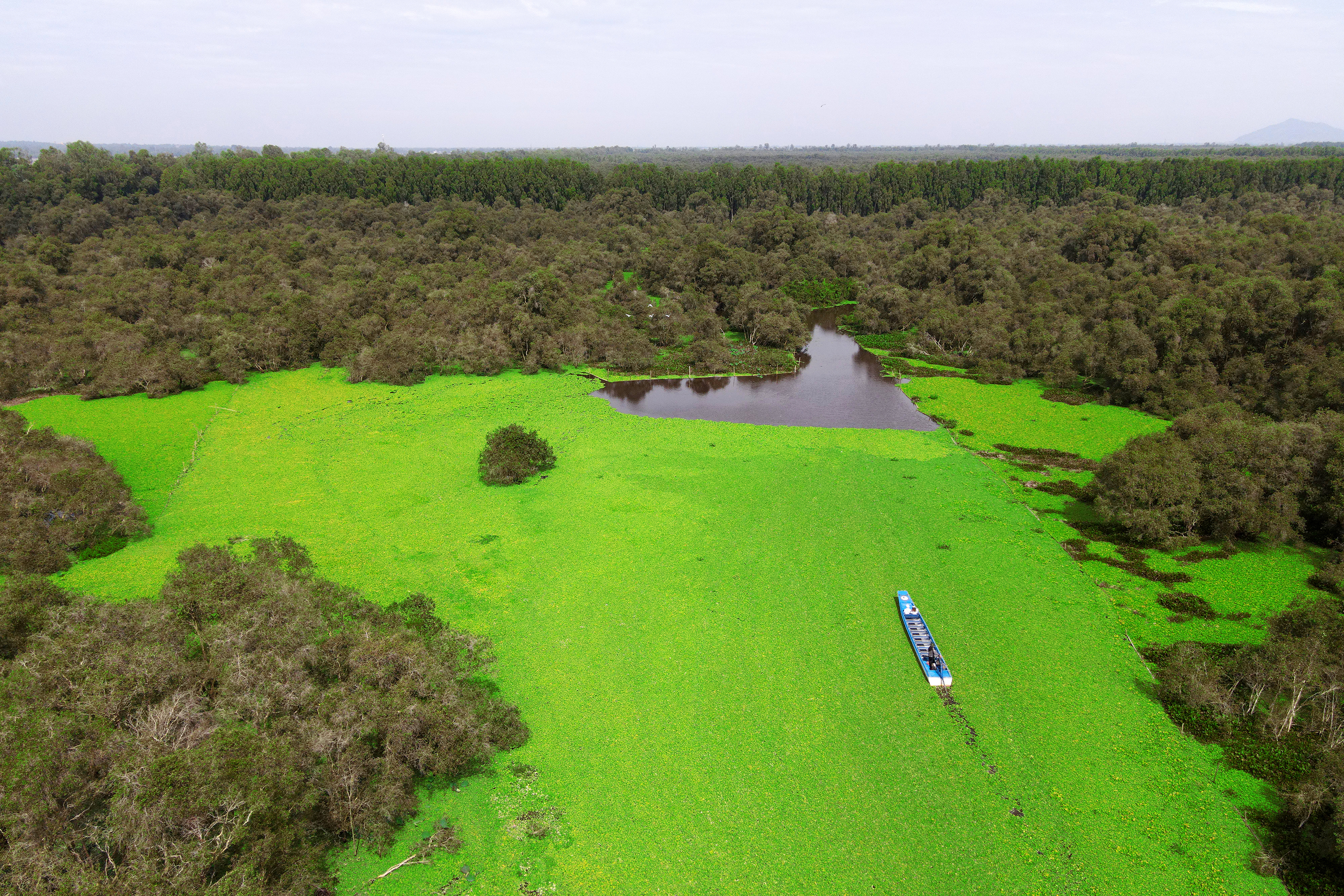 Phục hồi hệ sinh thái cho tương lai bền vững