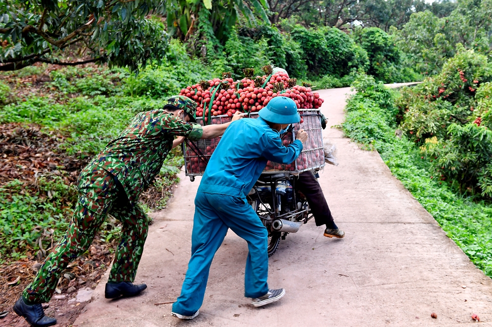 Mỗi xe vải như thế này nặng từ 170kg đến 200kg.