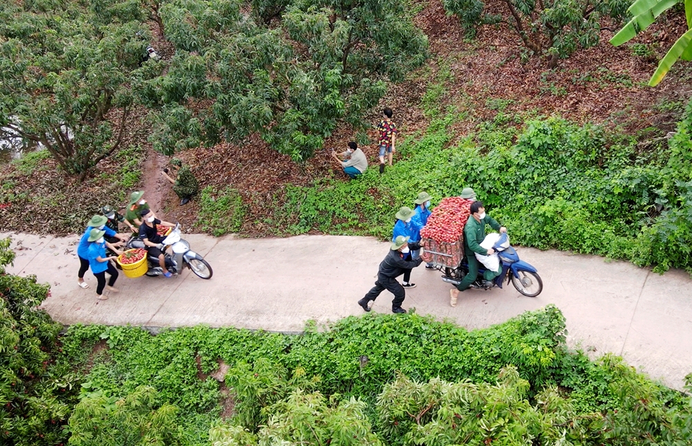 Đoàn viên thanh niên giúp sức đẩy các xe chở vải khi gặp các con dốc cao.