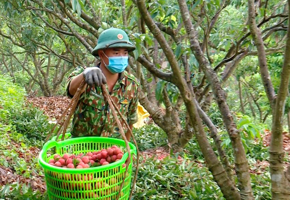 Chiến sĩ gánh vải xuống dưới chân đồi.