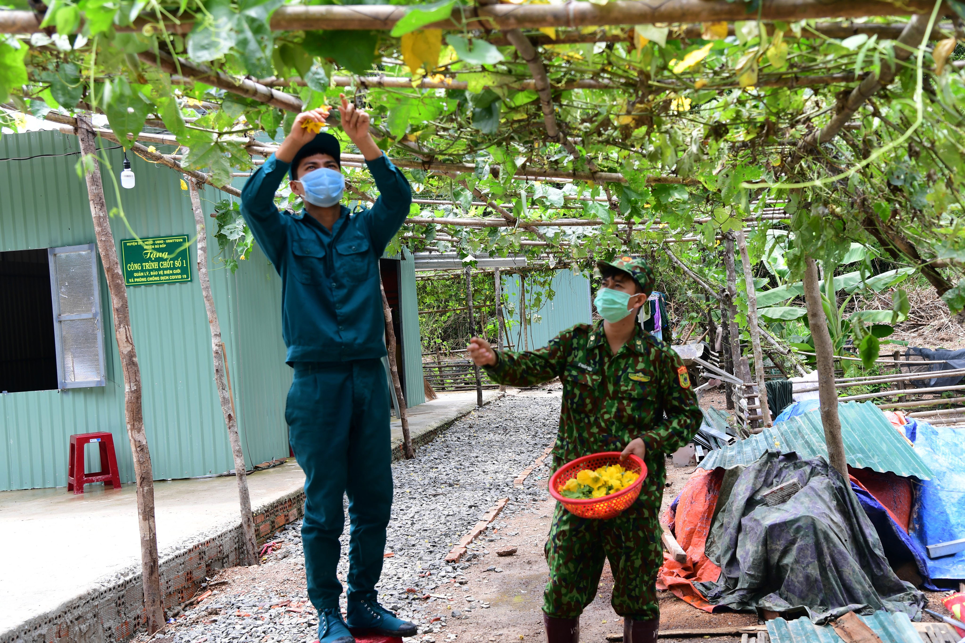 Vườn xanh trên chốt biên cương