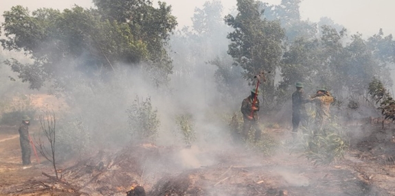 Báo QĐND Điện tử mong tiếp tục nhận được sự cộng tác của các đồng chí TTV, CTV