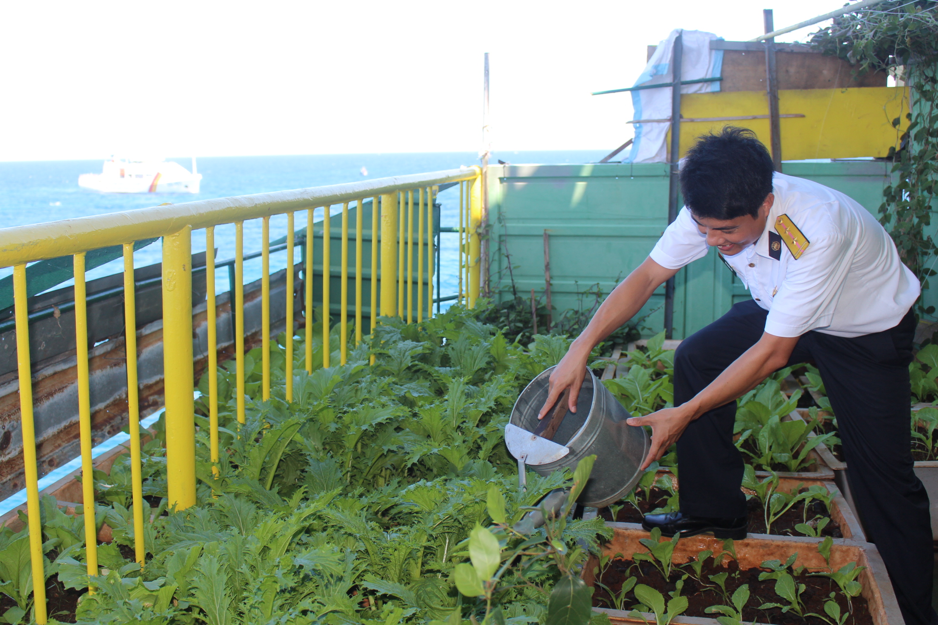 Rau biên giới “bén duyên” lính nhà giàn