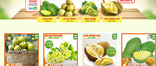Người tiêu dùng có thể đặt mua nhiều nông sản Việt tại “Tuần lễ nông sản Việt” trên Sendo.vn