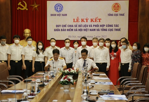 Bảo hiểm xã hội Việt Nam và Tổng cục Thuế chia sẻ dữ liệu và phối hợp công tác 