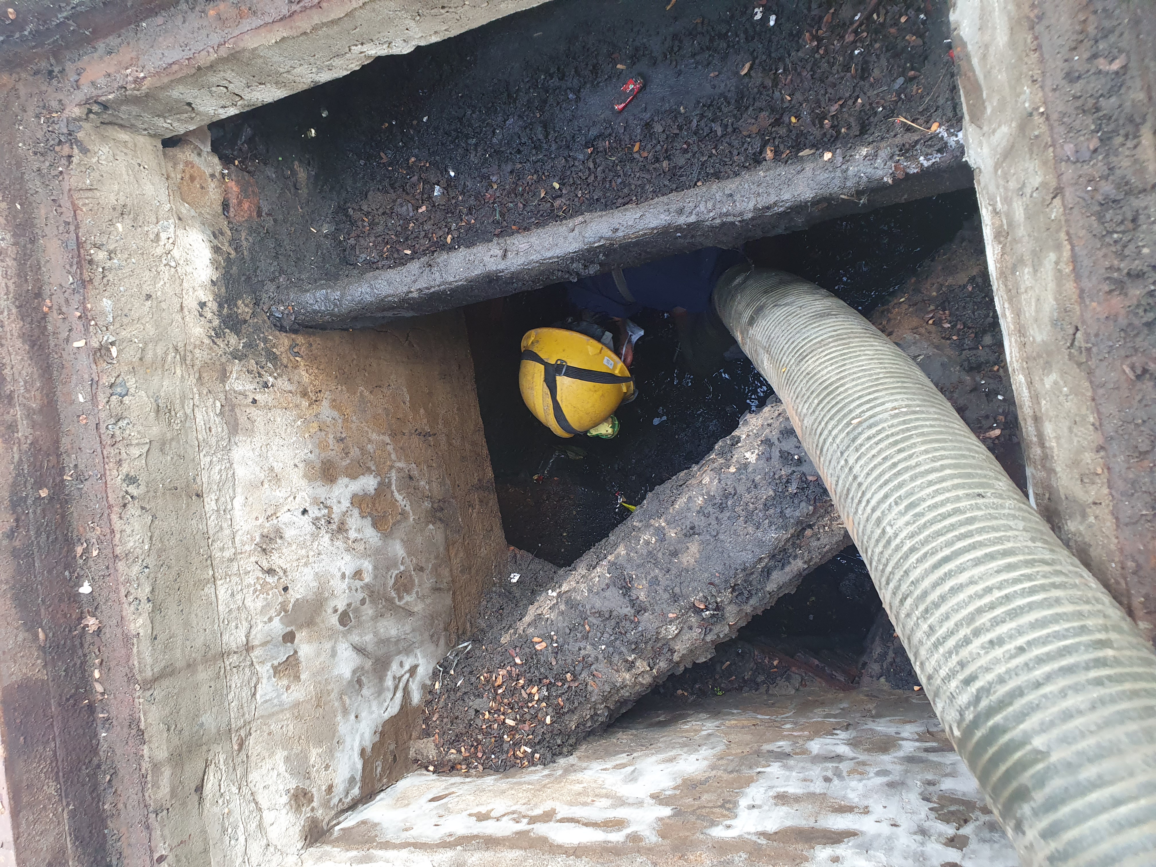 Dầm mình dưới bùn đất, chất thải hôi thối để giải phóng dòng chảy.