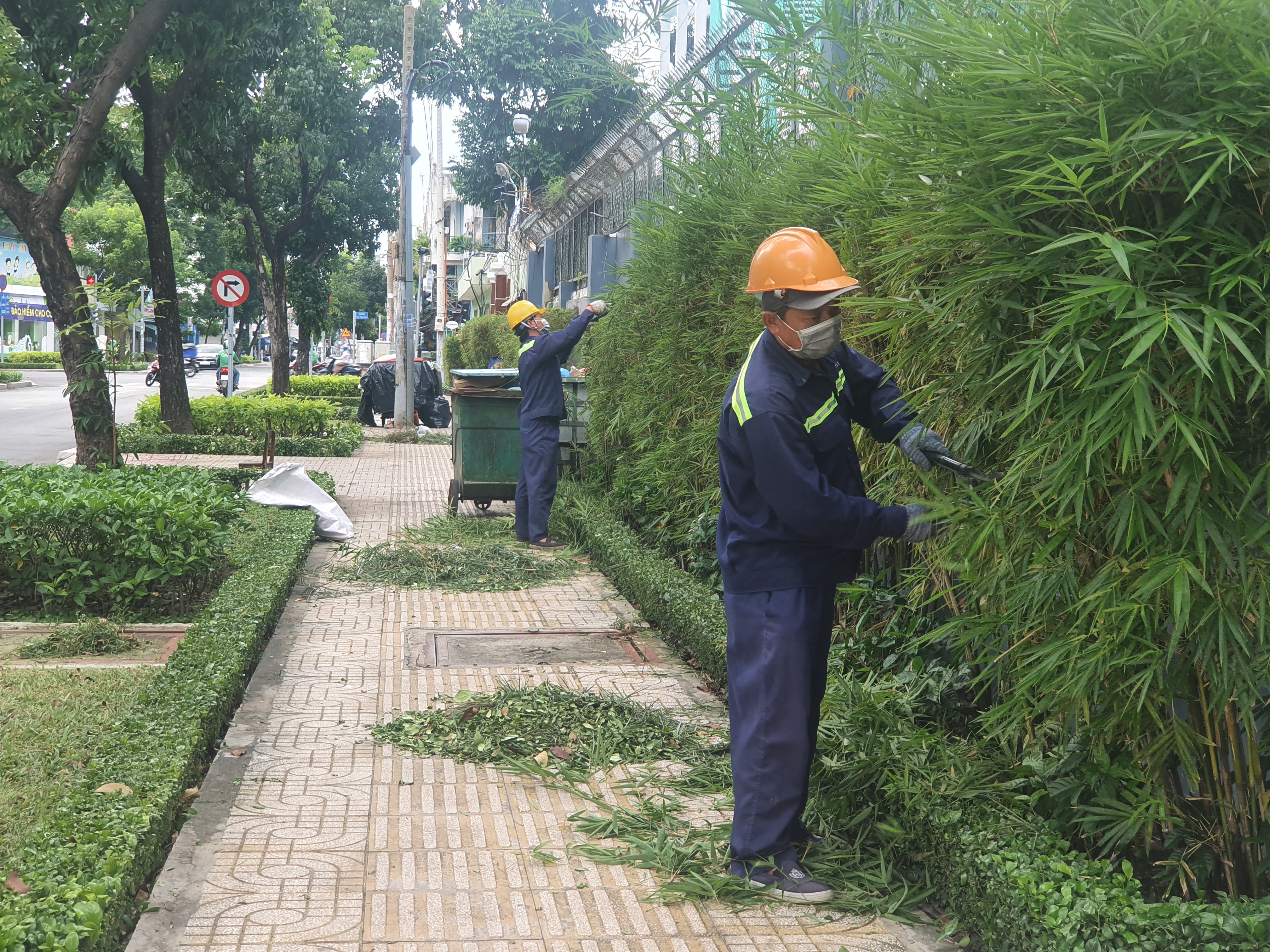 Không những sạch, mà thành phố phải đẹp. Và đó là trách nhiệm của những công nhân chăm sóc cây xanh.
