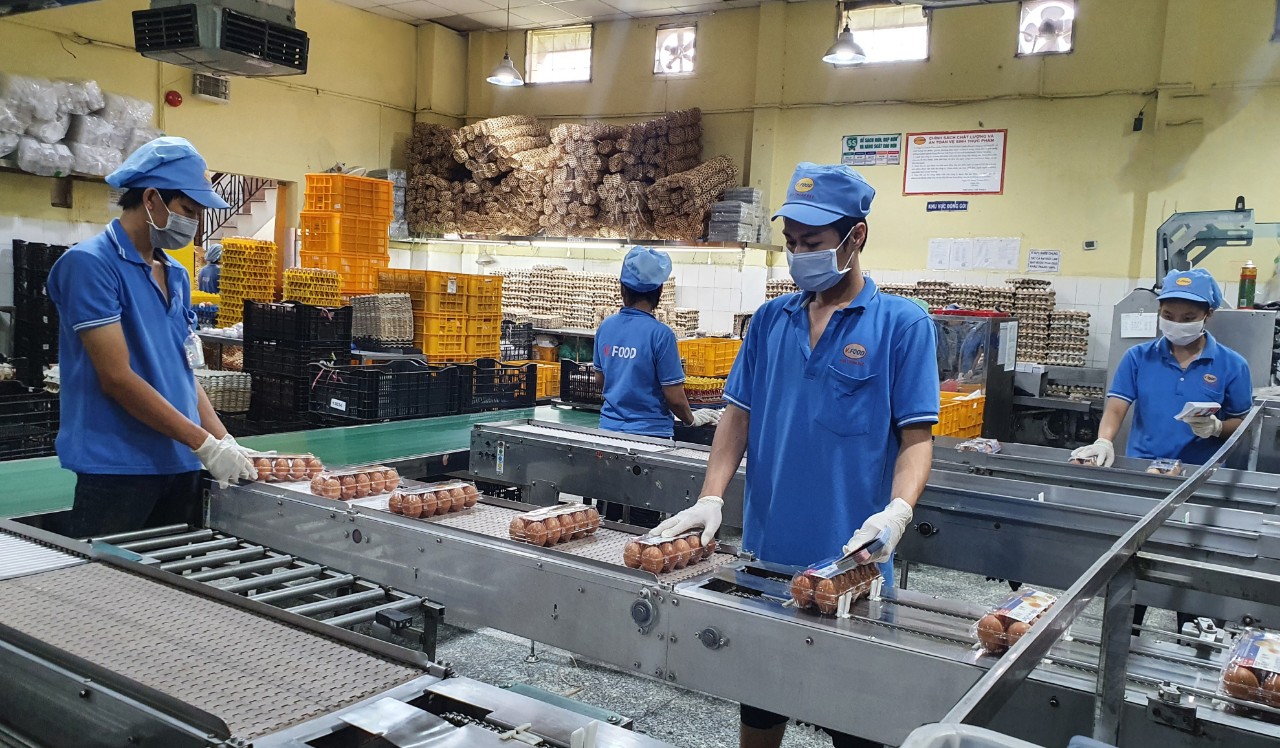 Tháo gỡ khó khăn, bảo vệ chuỗi sản xuất