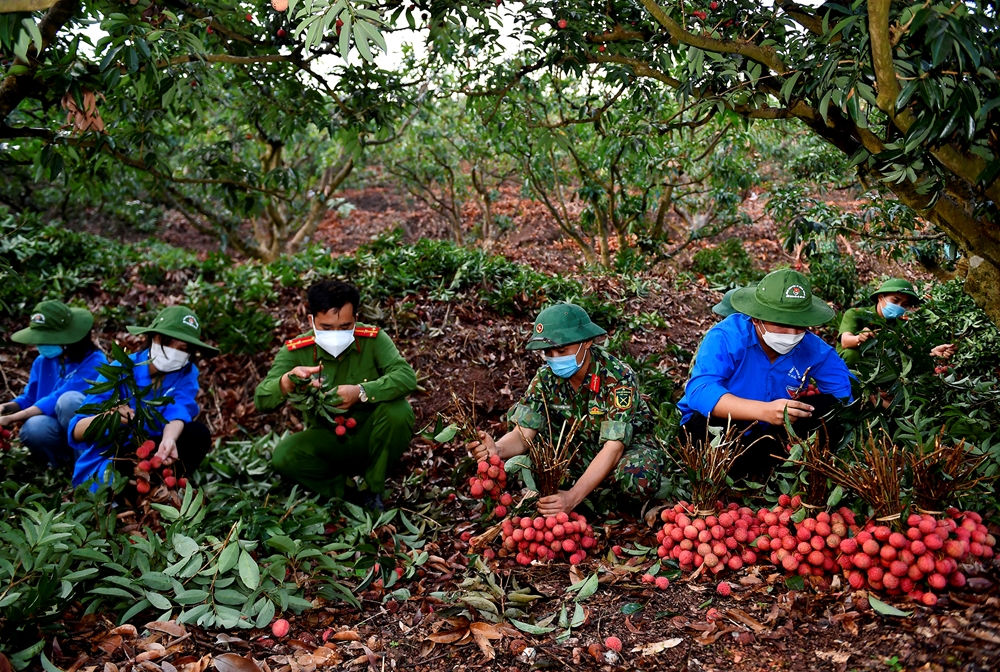 Phòng, chống sự xuyên tạc, phủ nhận vai trò lãnh đạo của Đảng đối với quân đội