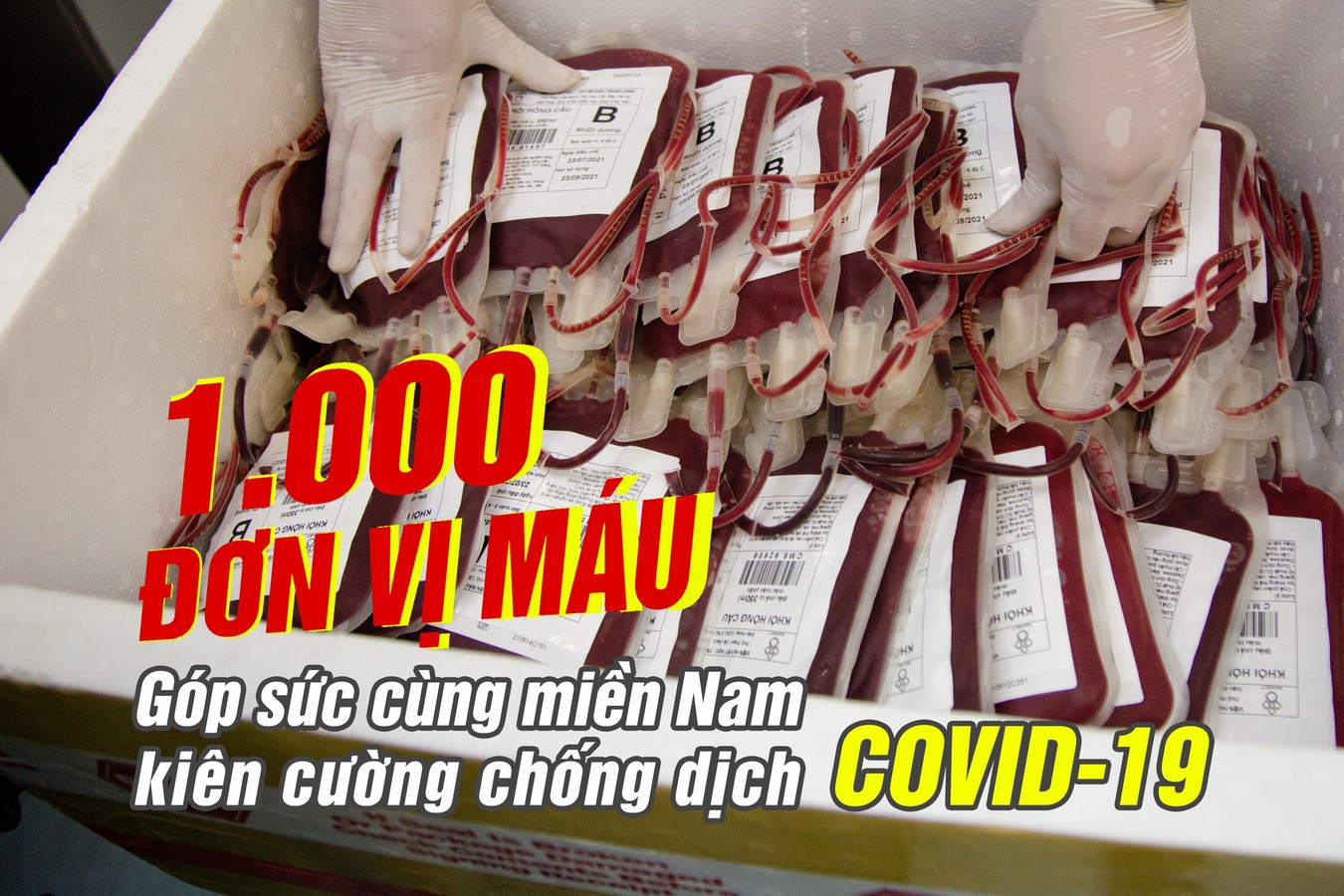 1.000 đơn vị máu 