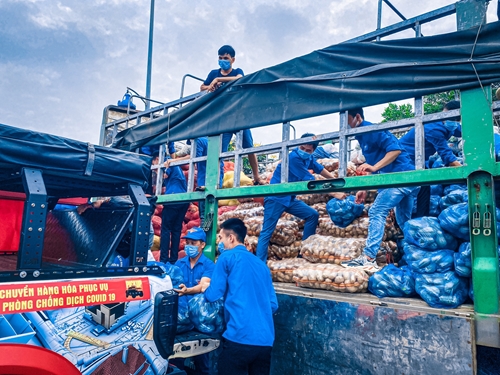 Tuổi trẻ Lào Cai gửi tặng Thành đoàn Hà Nội hơn 15 tấn nông sản