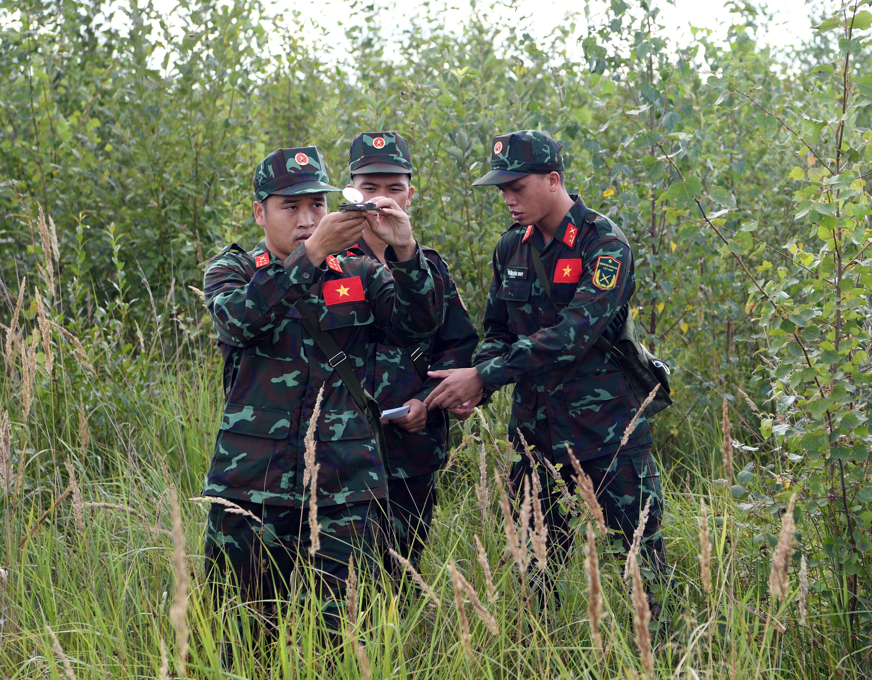 “Tìm lá” trong rừng