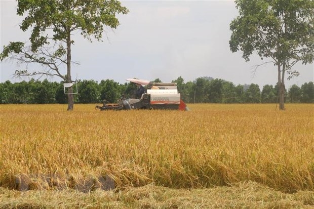 Liên kết phòng, chống dịch để phát triển kinh tế