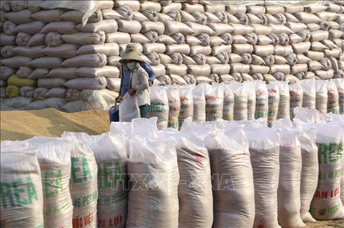 Hỗ trợ hơn 130.000 tấn gạo cho người dân gặp khó khăn do dịch Covid-19