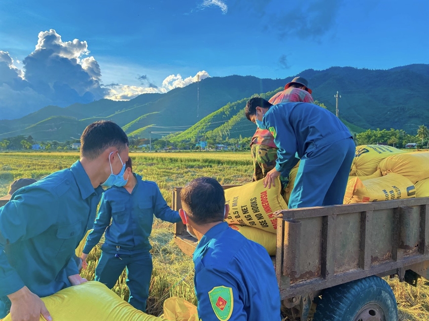 Chiến sĩ “sao vuông” giúp dân thu hoạch lúa mùa