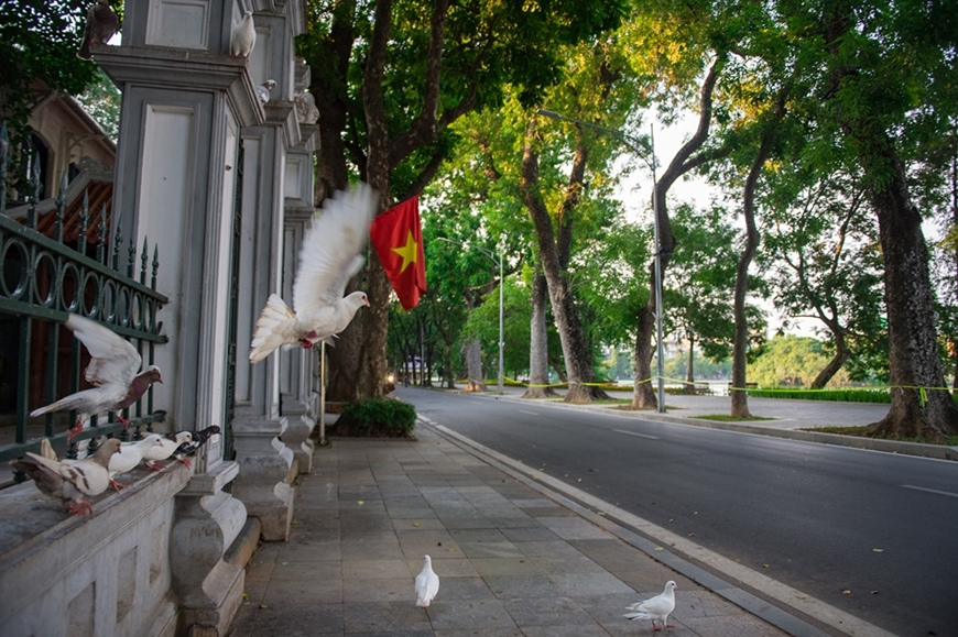 Giãn cách xã hội là cách tốt nhất để bảo vệ sức khỏe của chúng ta! Image liên quan sẽ cho bạn thấy quy trình giãn cách xã hội được thực hiện như thế nào và những lợi ích của việc giữ khoảng cách an toàn.