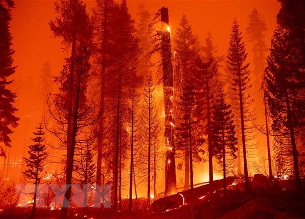 Tổng thống Mỹ ban bố tình trạng khẩn cấp tại California