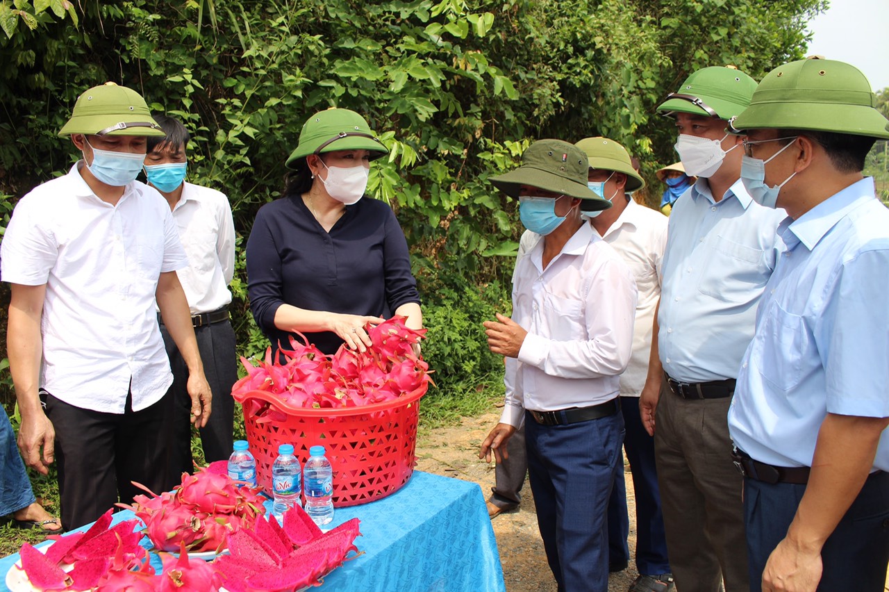 Hỗ trợ vốn vay để nông dân phát triển sản xuất