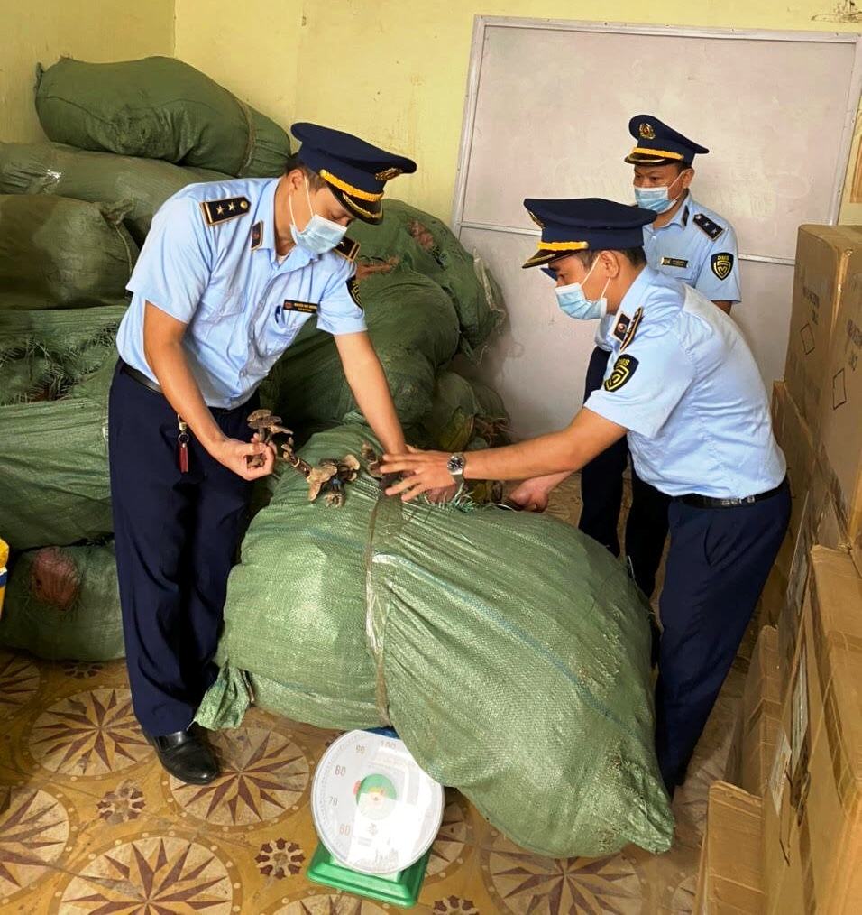 Lạng Sơn: Thu giữ 6 tạ nấm không rõ nguồn gốc, xuất xứ