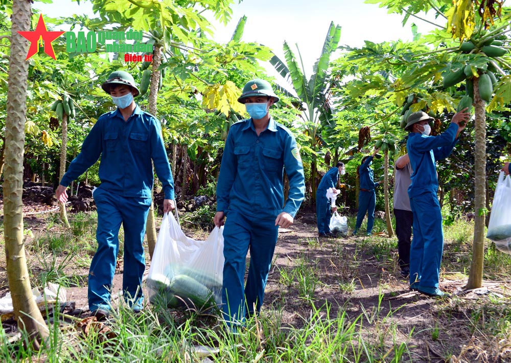 Bộ đội về nông sản mới được “đi”…