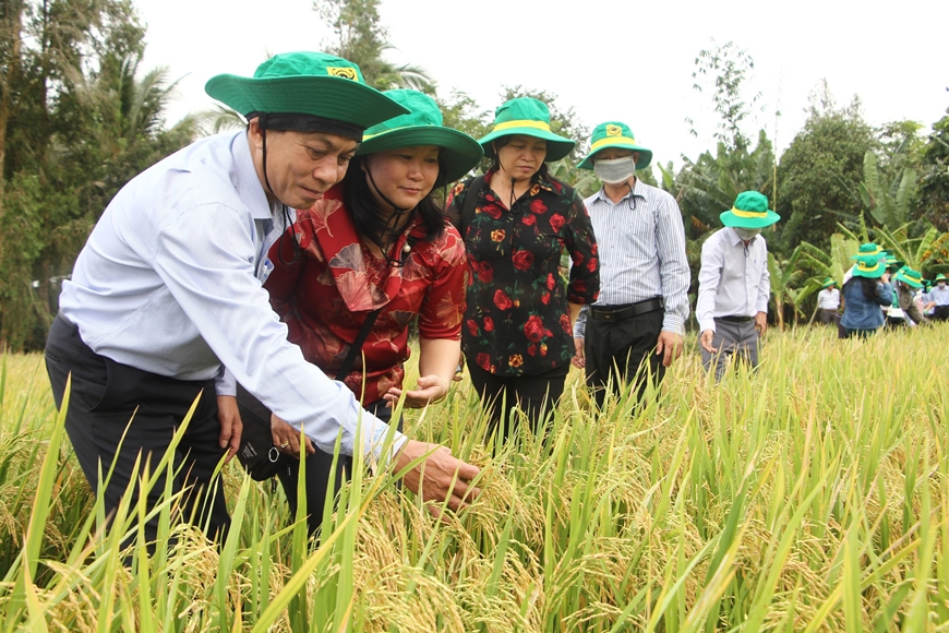 “Bảo bối” giúp Đảng trong sạch, đội ngũ vững mạnh