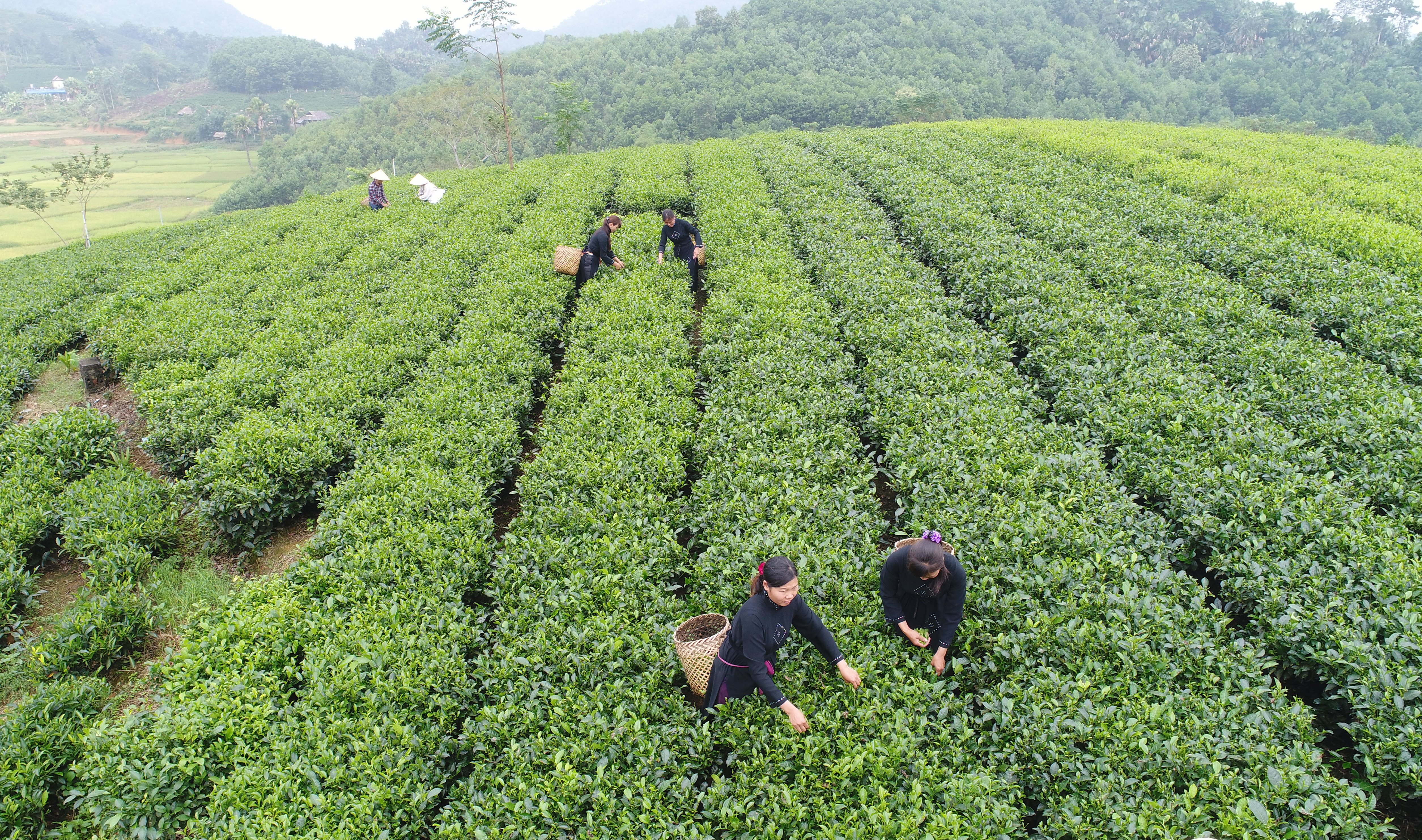 Tạo đột phá cho mảnh đất chiến khu ATK