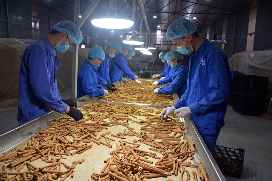 Xây dựng cơ chế, chính sách phù hợp để hỗ trợ Chương trình OCOP