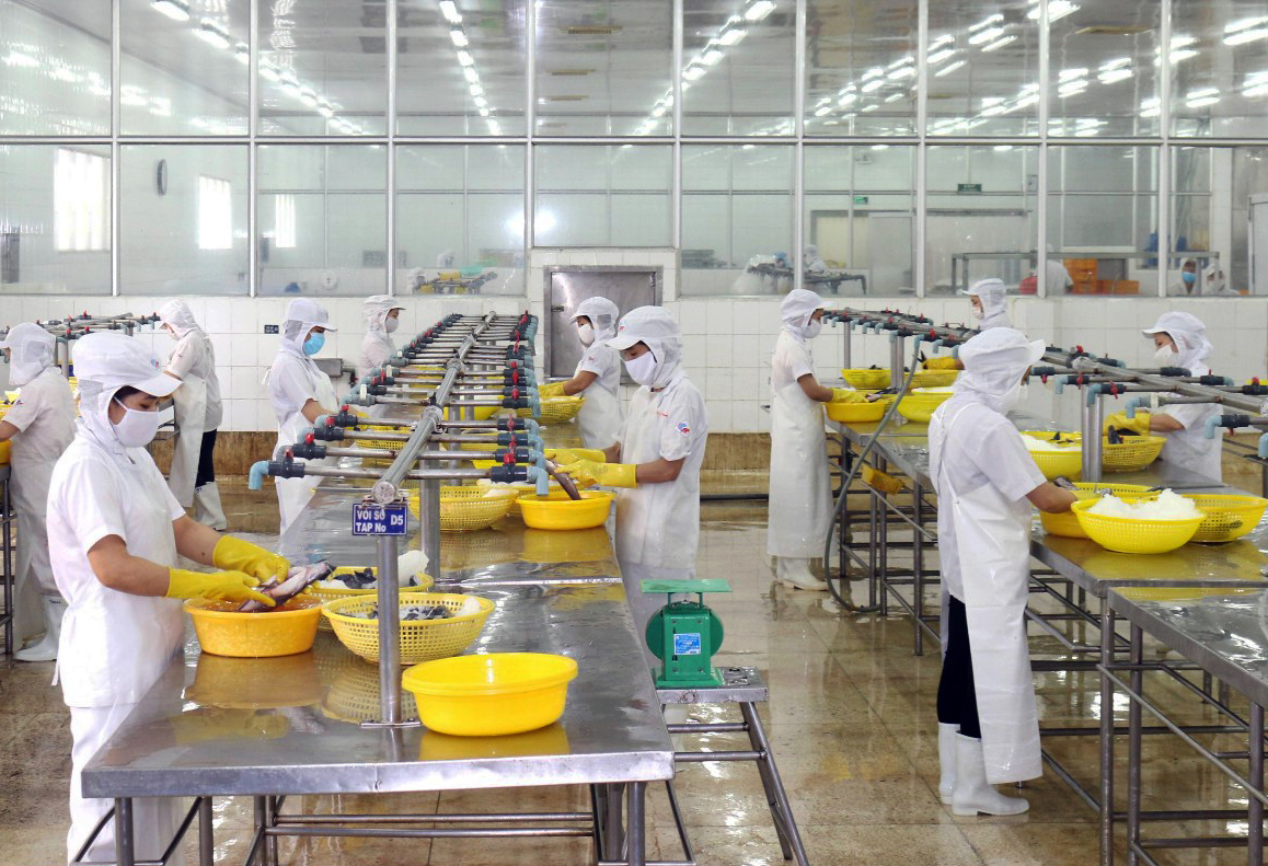 Doanh nghiệp phía Nam nỗ lực phục hồi sản xuất, kinh doanh