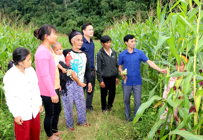 Cuộc sống mới của người Đan Lai ở Thạch Sơn