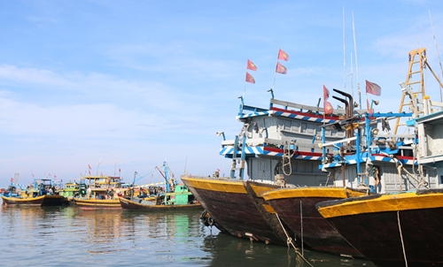 Tỉnh Bình Thuận cấm tàu, thuyền ra khơi