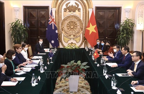 Việt Nam - Australia: Tăng cường hợp tác theo các hình thức linh hoạt