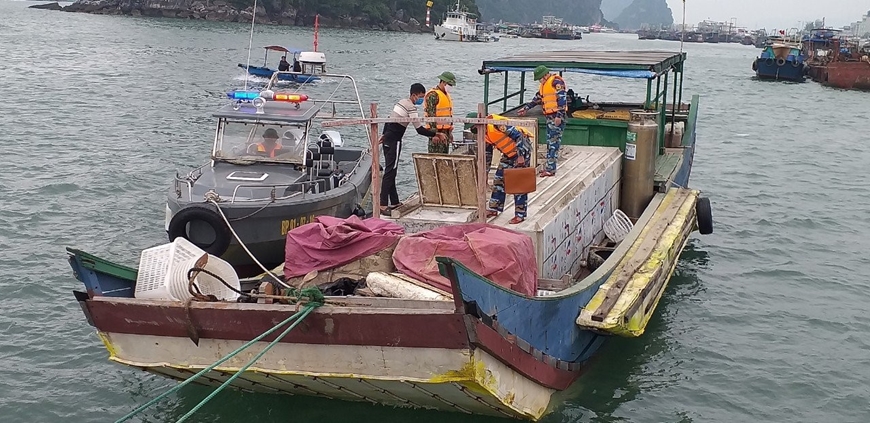 Quảng Ninh: Bắt giữ 2,3 tấn cá tầm không rõ nguồn gốc