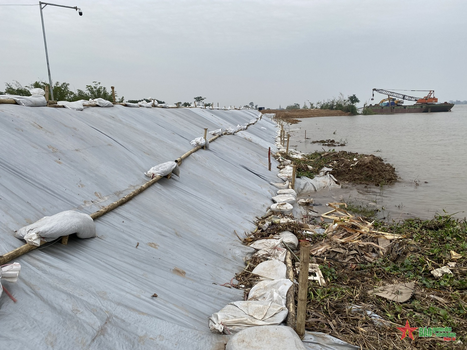 Sớm xử lý tình trạng sạt lở tại đê hữu sông Đáy 