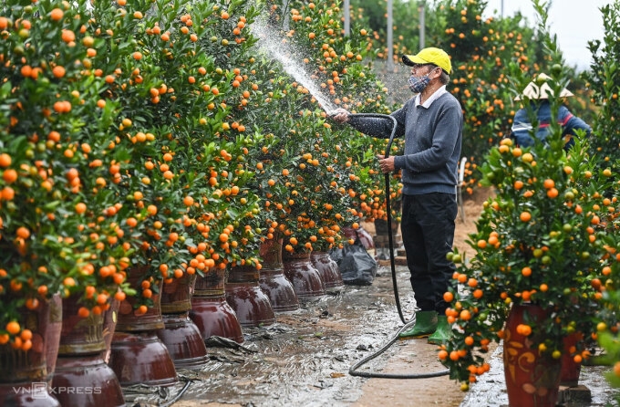 Tết Dương lịch 2022 được nghỉ 3 ngày, lịch nghỉ Tết âm lịch chờ Thủ tướng Chính phủ quyết định