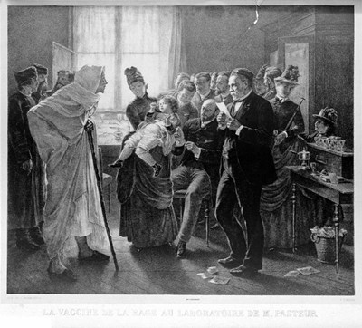 Ngoài nghiên cứu về bệnh dại, Louis Pasteur còn đóng góp gì cho lĩnh vực y học và khoa học?
