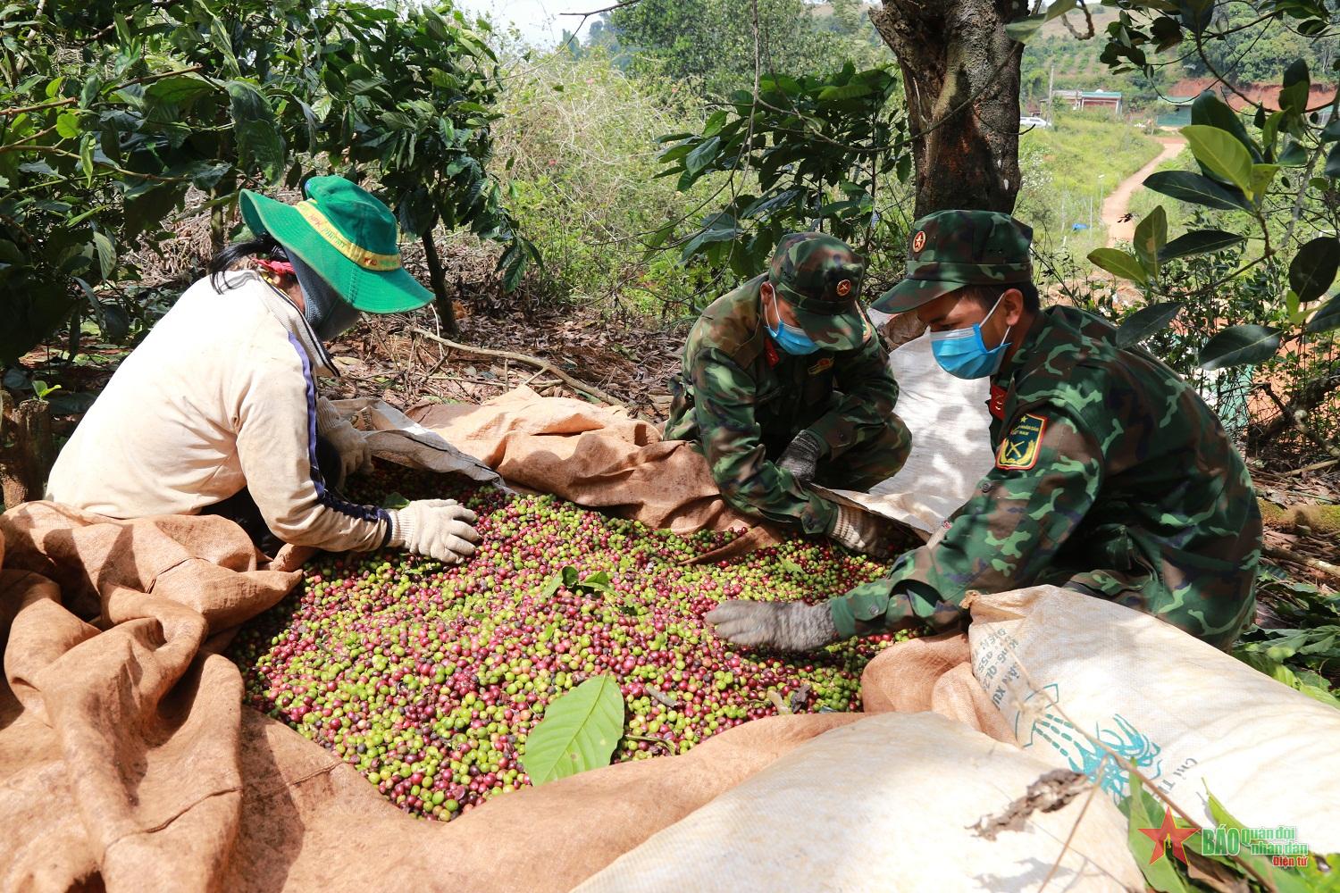 Tấm lòng bộ đội nơi vùng biên Tuy Đức