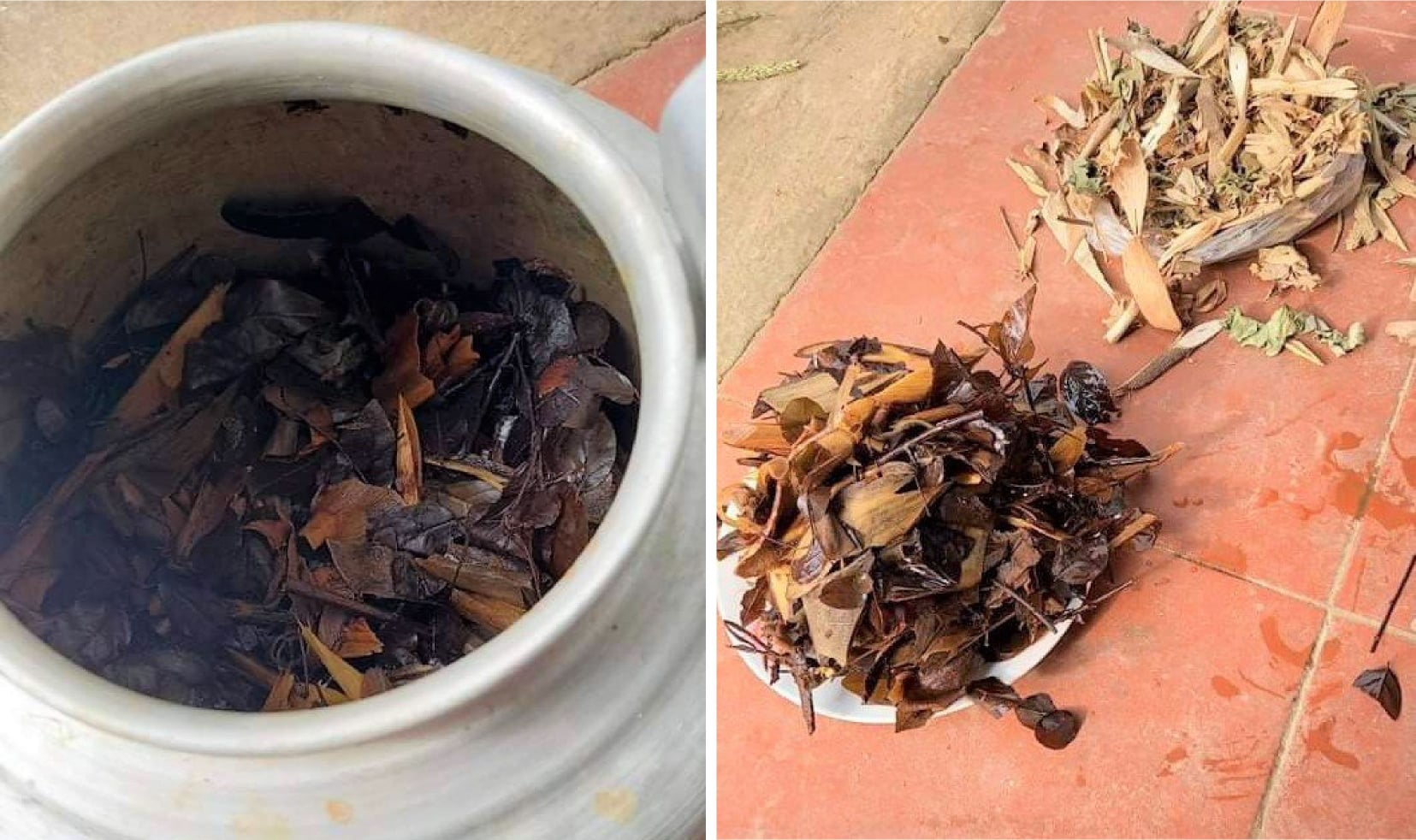 Suy đa tạng do tự ý dùng thuốc nam