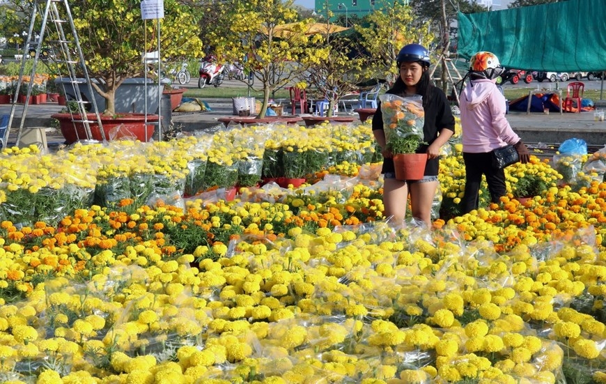 Thời tiết Tết Dương lịch với các dấu hiệu của mùa đông có thể khiến bạn lo lắng về ngày lễ truyền thống của Mỹ. Nhưng đừng lo, hãy xem hình ảnh về thời tiết Tết Dương lịch, bạn sẽ thấy rằng không khí Tết ấm áp và niềm vui của mọi người sẽ dậy lên trong ngày lễ này.