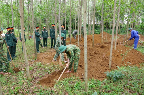 Quy tập hai hài cốt liệt sĩ tại huyện Cam Lộ, tỉnh Quảng Trị