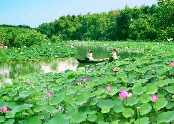 Tâm thư từ Đất Sen hồng