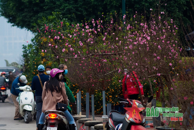 Đón Tết “bình thường mới”: Vui sao cho thật an toàn!