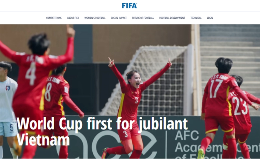 Vòng Chung Kết Bóng Đá Nữ World Cup 2022: Những Điểm Nhấn Đáng Chú Ý
