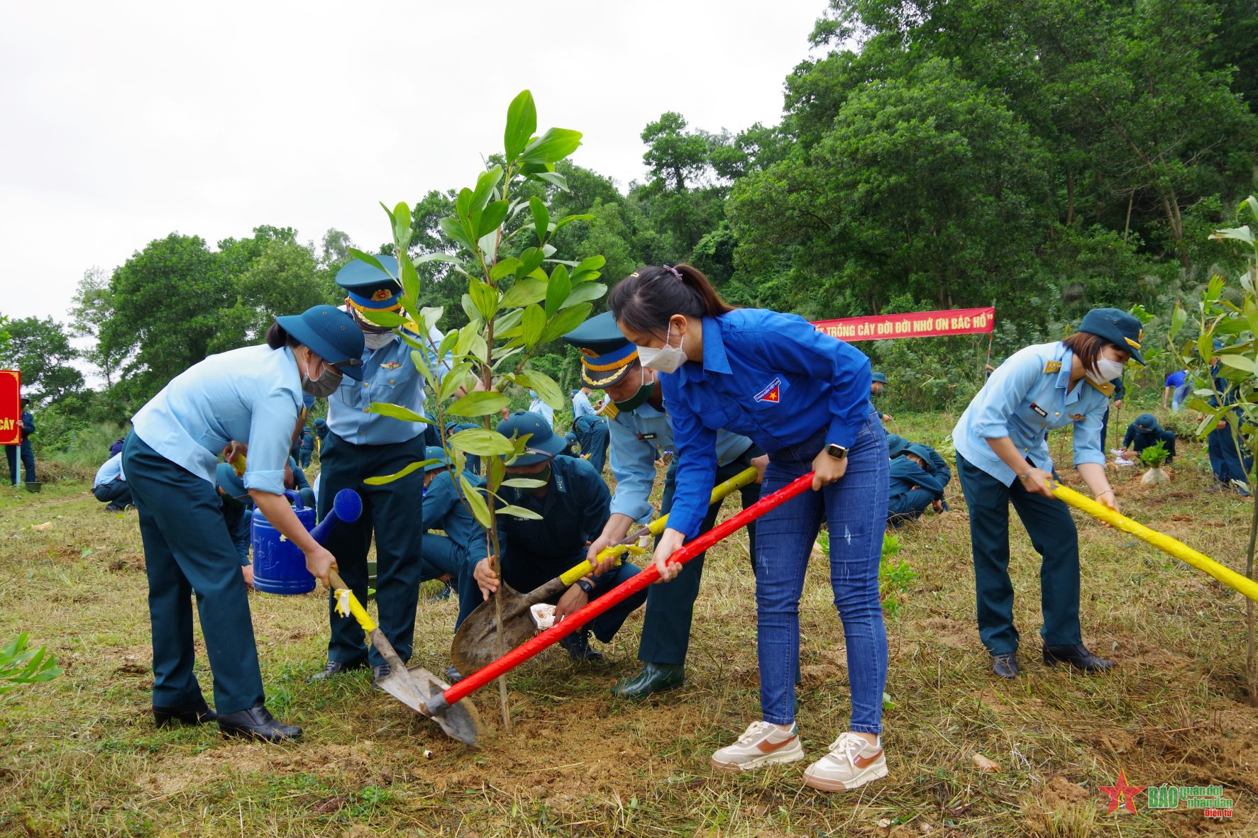Trung đoàn Pháo phòng không 224 phát động “Tết trồng cây đời đời nhớ ơn Bác Hồ”