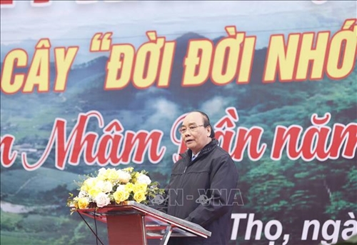 Chủ tịch nước Nguyễn Xuân Phúc: Yêu cầu đặt ra với việc trồng cây, trồng rừng là rất quan trọng