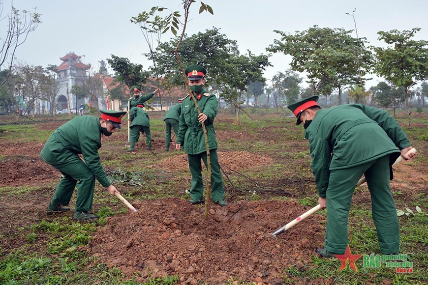 Năm 2022, trồng mới khoảng 230.000ha rừng