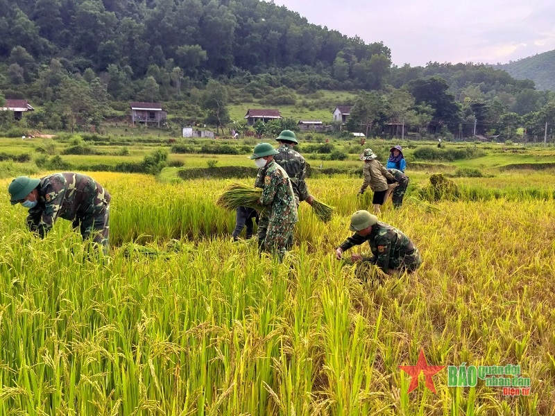 Tiếp tục phát huy vai trò của thanh niên quân đội trong sự nghiệp cách mạng vẻ vang của Đảng