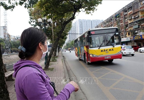 Hà Nội: Từ hôm nay (8-2), 100% xe buýt hoạt động trở lại
